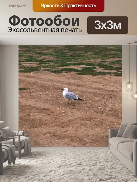 Фотообои Seagull
