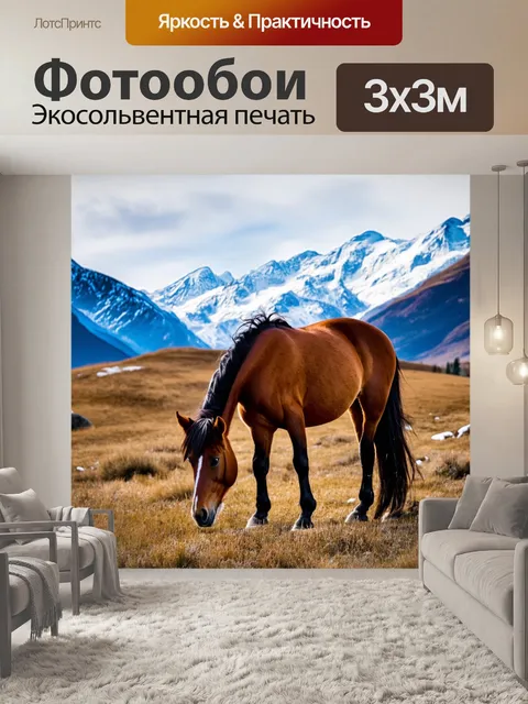 Фотообои конь, мирно пасущийся на фоне гор, покрытых снегом