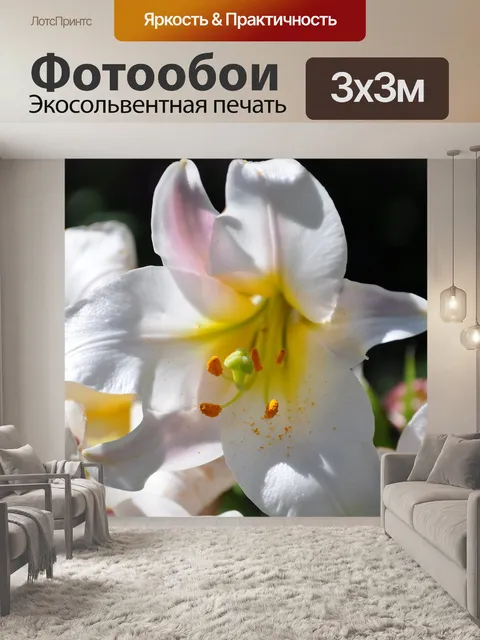 Фотообои Лили