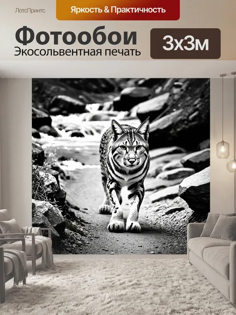 Фотообои на каменистой росистой тропе, у стремительного горного ручья, рысь замирает, прислушиваясь к звукам природы