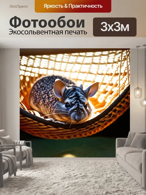 Фотообои шиншилла, ласково спящая в красивом, плетеном гамаке, где преломление света создает волшебное ощущение