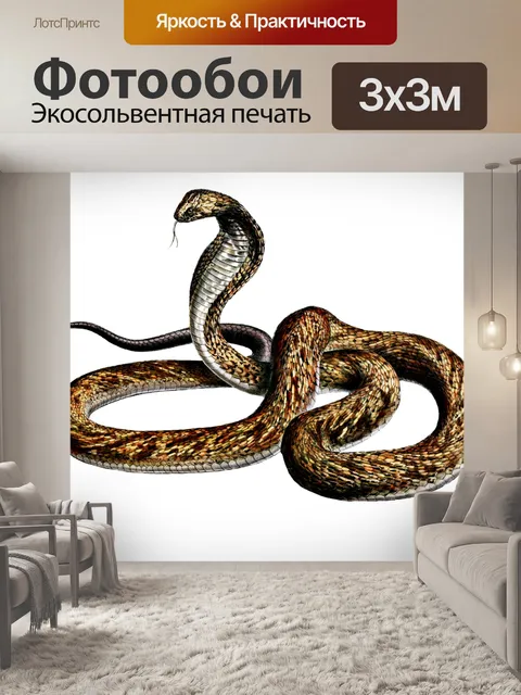 Фотообои Морда кобра