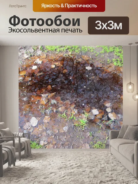 Фотообои Лужа 1