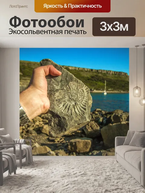 Фотообои Ископаемое