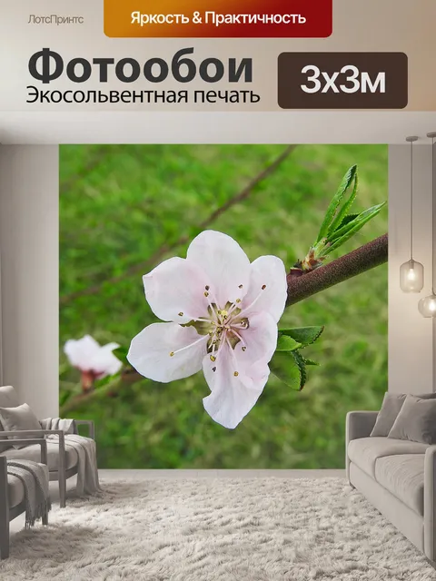 Фотообои Цветение персика