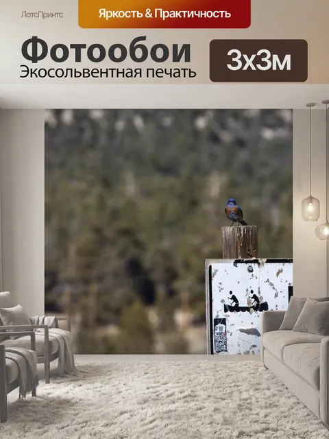 Фотообои Синяя птица