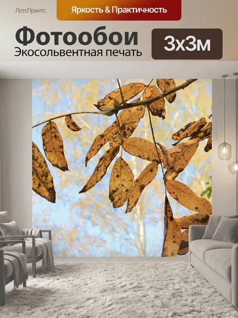 Фотообои Осень