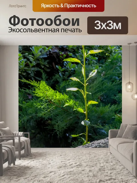 Фотообои Новый рост