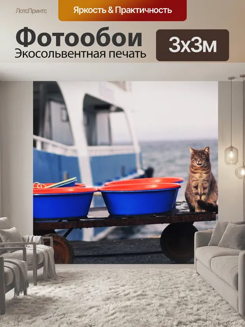 Фотообои Кошка
