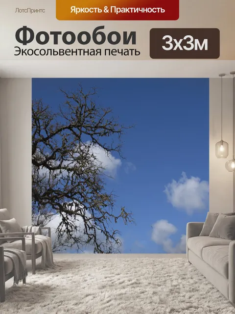 Фотообои Ветви деревьев и голубое небо