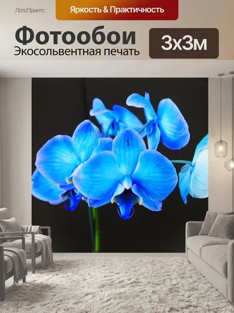 Фотообои Синий