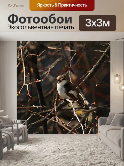Фотообои Птичка