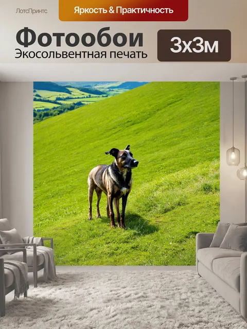 Фотообои овчарка на зеленом холме, охраняющая место для отдыха с видом на природные красоты