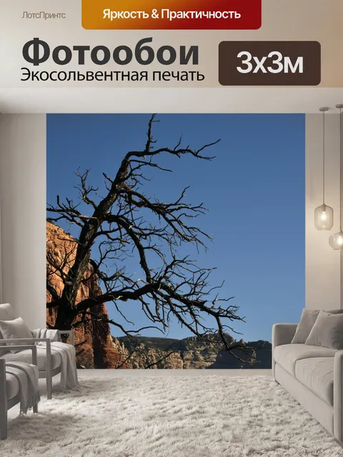 Фотообои Мертвое дерево пейзаж