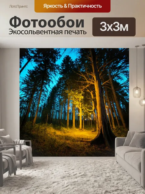 Фотообои лес с вечерней атмосферой, мерцающими огнями и обнимающими деревьями