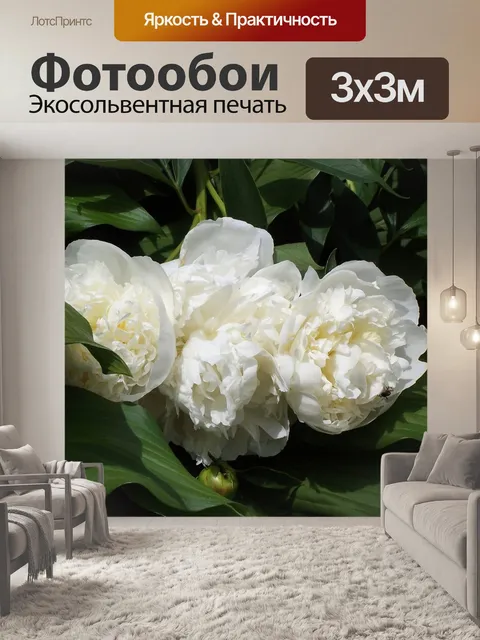 Фотообои Цветок