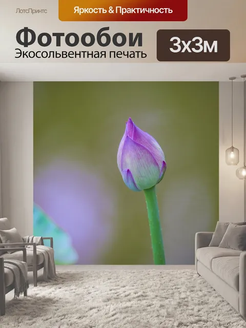 Фотообои Lotus