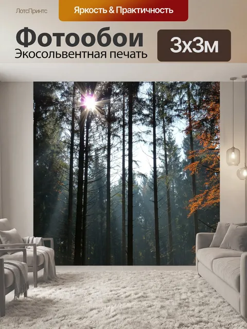 Фотообои Падение
