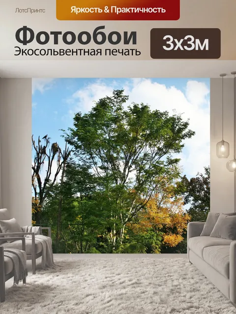 Фотообои деревья осенью