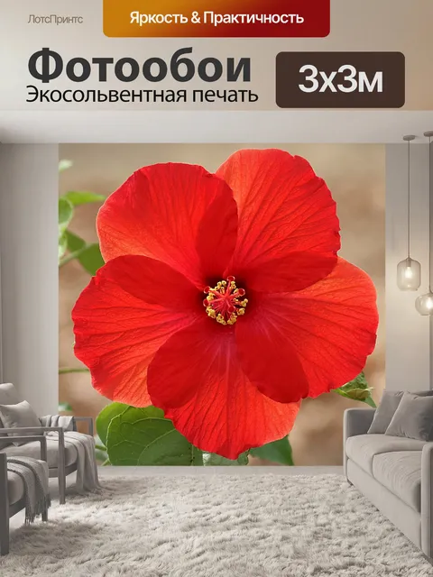 Фотообои Светящийся красный гибискус