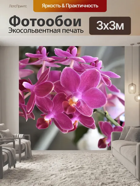 Фотообои Розовая орхидея