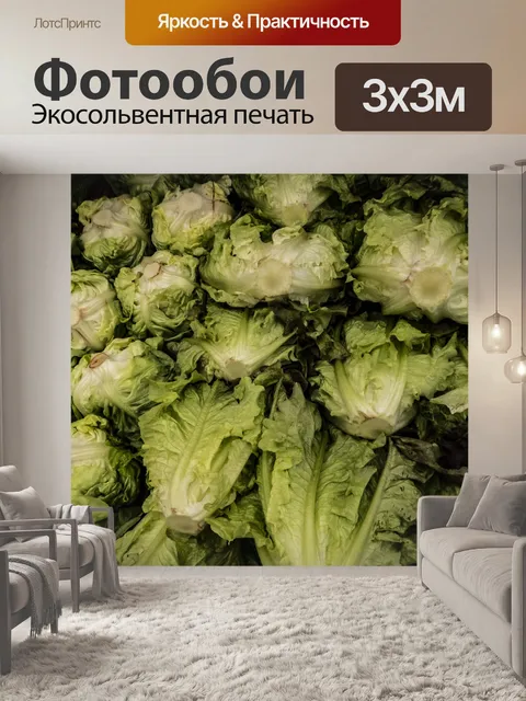 Фотообои Зеленый листовой салат