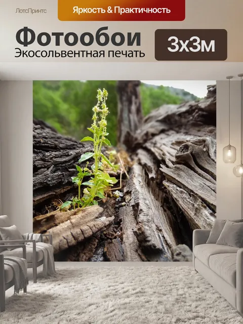 Фотообои Греция