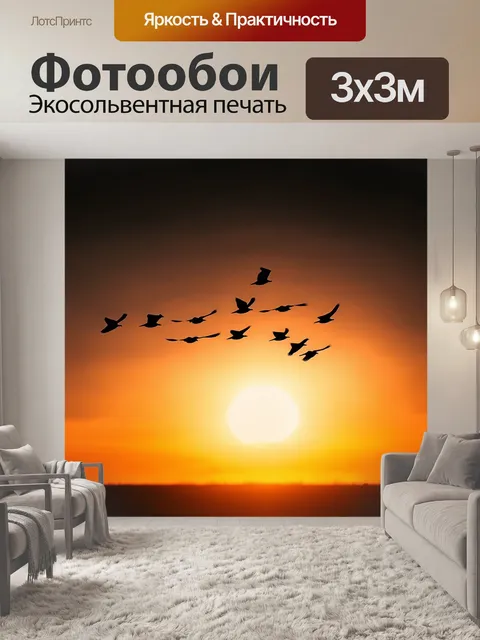 Фотообои темный фон с пылающим закатом на горизонте