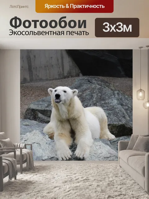 Фотообои Белый медведь