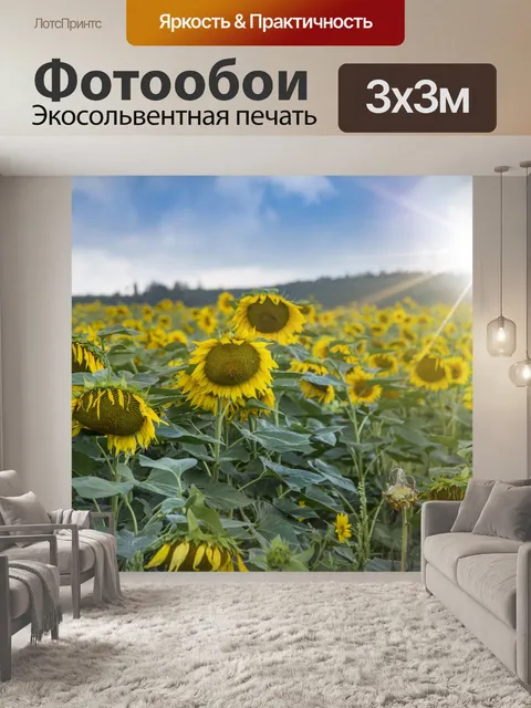 Фотообои Поле подсолнухов