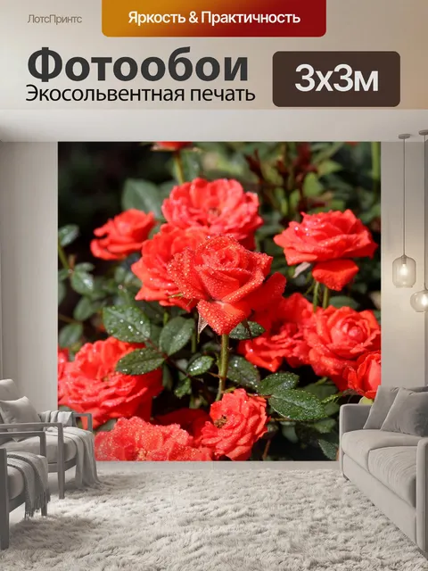 Фотообои Розы