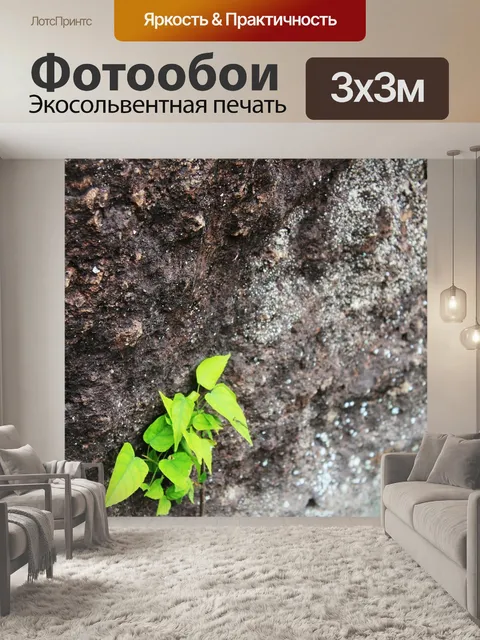 Фотообои Грин