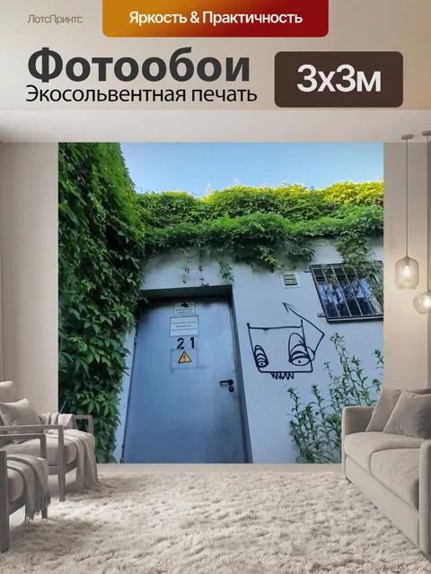 Фотообои Наружная дверь