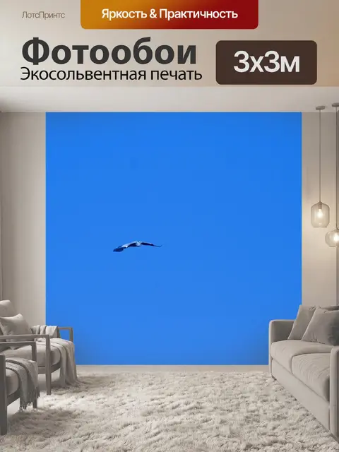 Фотообои серая цапля на крыле в голубом небе