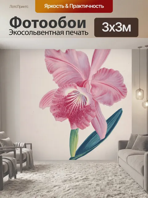 Фотообои Старинные ботанические цветы орхидеи