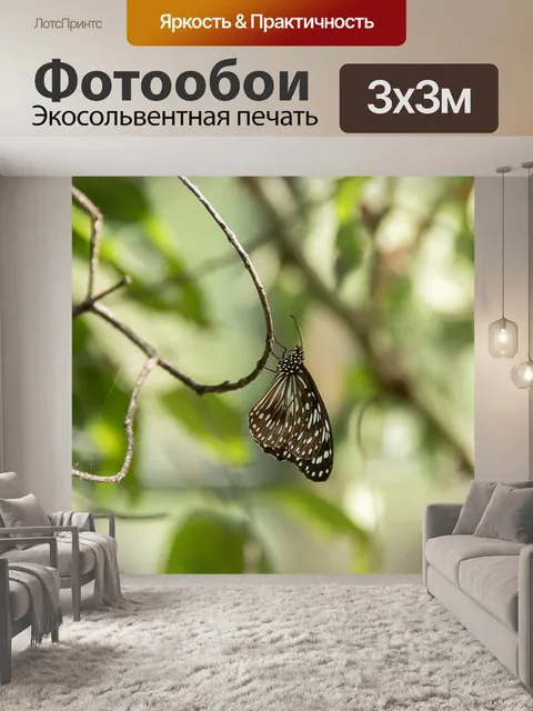 Фотообои Тигр синяя бабочка