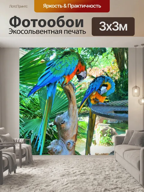 Фотообои два попугаи ара