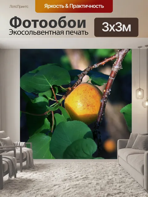 Фотообои Теплый свет на абрикос