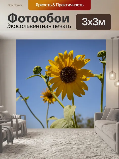 Фотообои Высокий подсолнух голубое небо