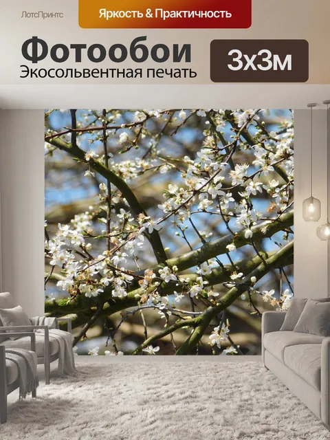 Фотообои Цветы