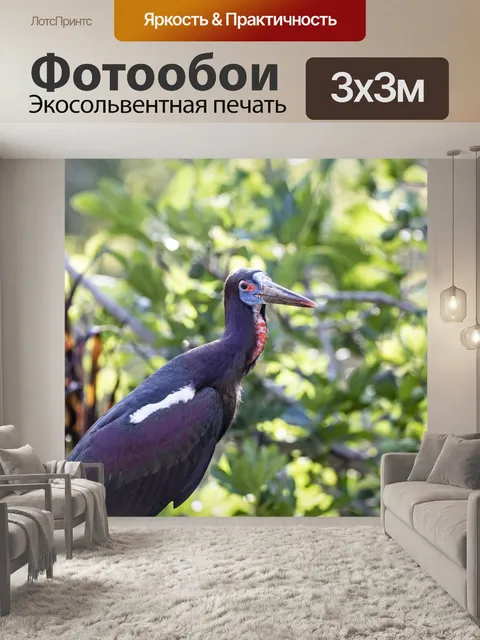 Фотообои Аист Абдима,