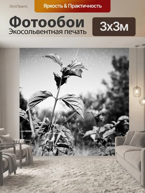 Фотообои Листья