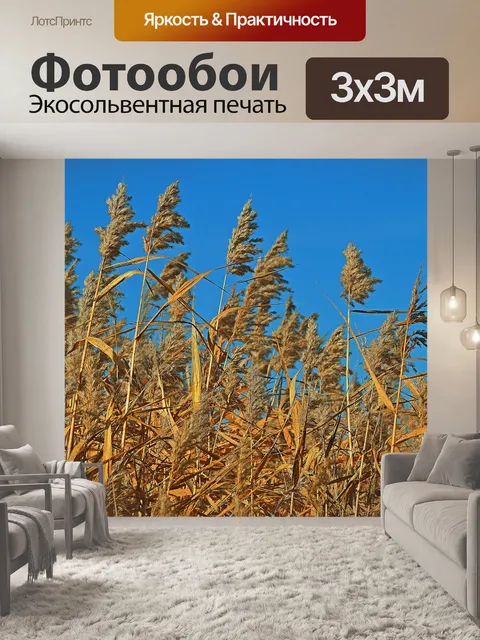 Фотообои Трава