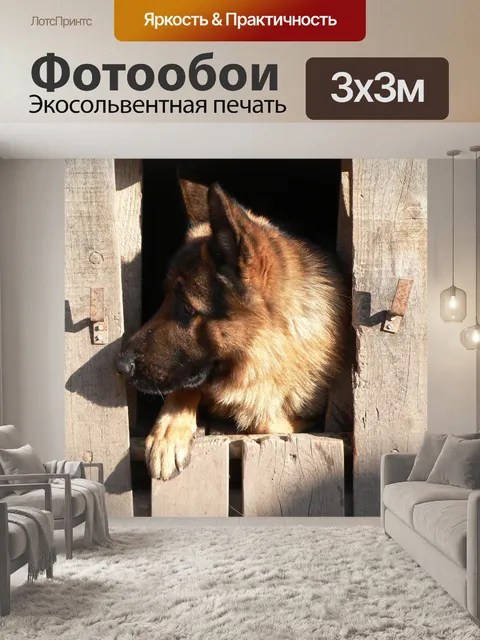 Фотообои Животное