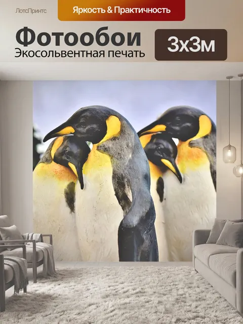 Фотообои Пингвин