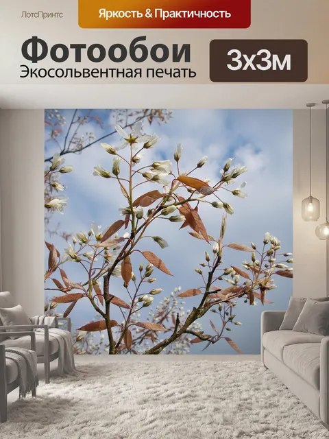 Фотообои Весенние цветы