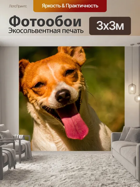 Фотообои Собака