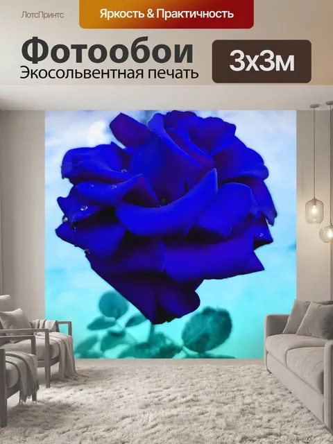 Фотообои Синяя роза