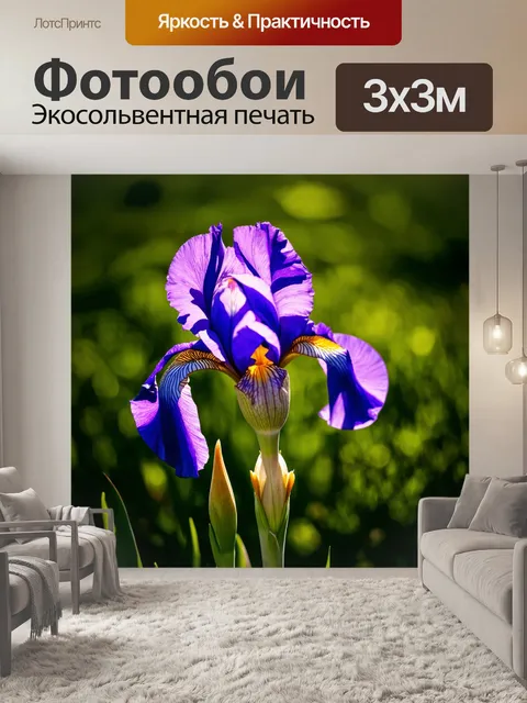 Фотообои ирис в вечернем свете, с мягкими тенями и глубокими цветами, романтическая атмосфера