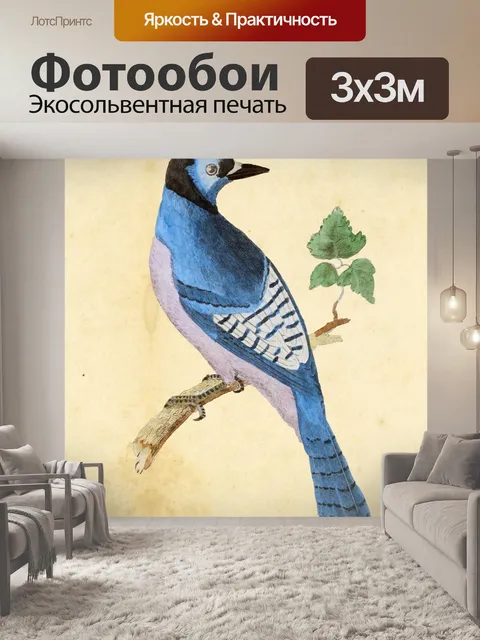 Фотообои Птица Урожай Живопись